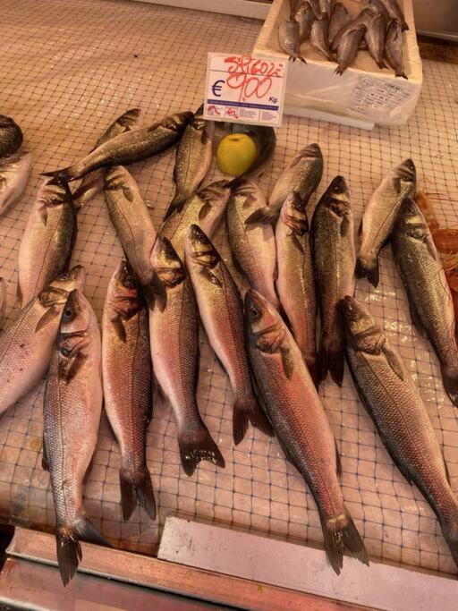 Casa Del Pescatore Di Ortigia Szirakúza Kültér fotó
